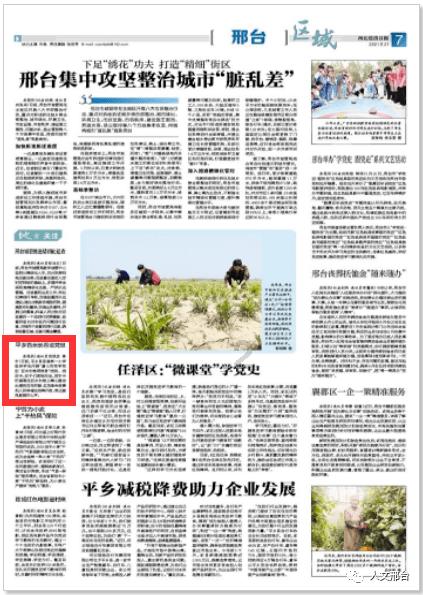 拯救精灵的土地8
