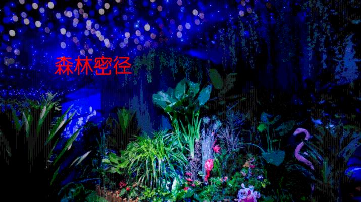 万词王